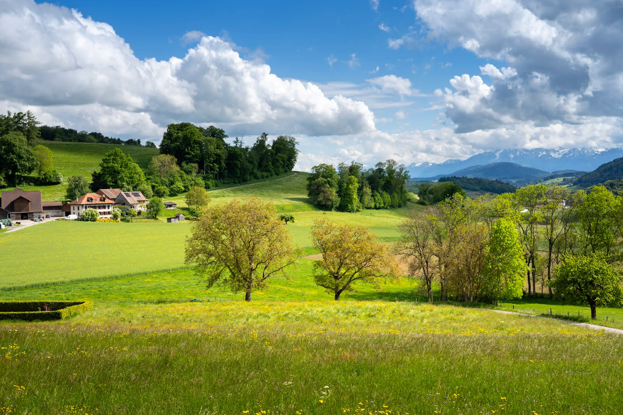 Road to Spring